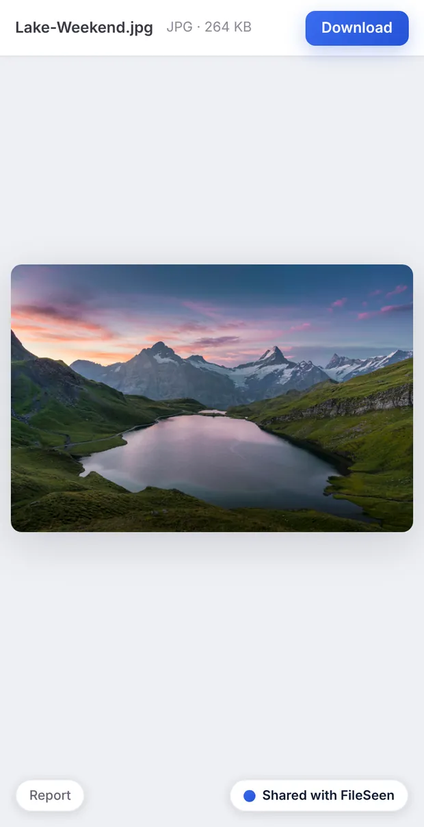 The lake photo opened on a phone from a FileSeen link, full width, with a Download button at the top